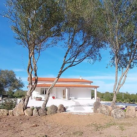 Casa Vacanze Olbia - Alebea - 外观 照片