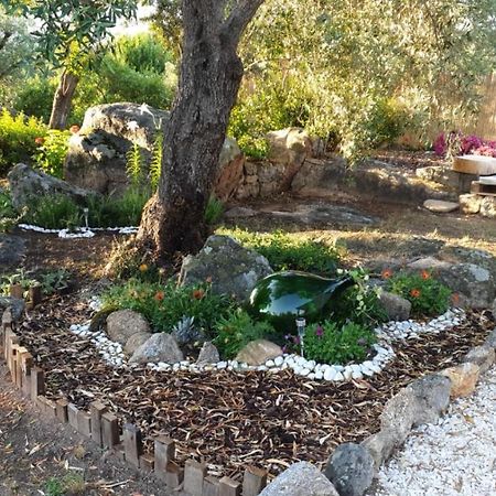 Casa Vacanze Olbia - Alebea - 外观 照片