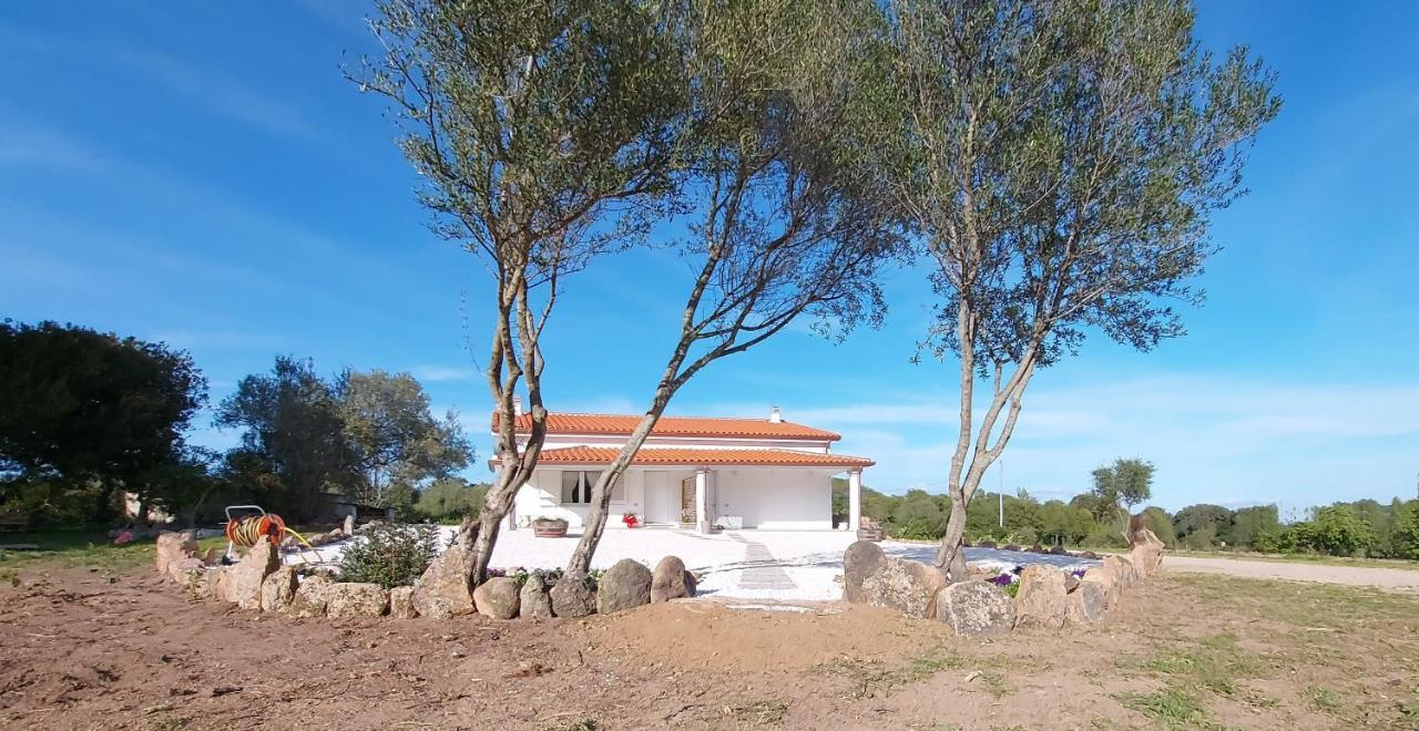 Casa Vacanze Olbia - Alebea - 外观 照片