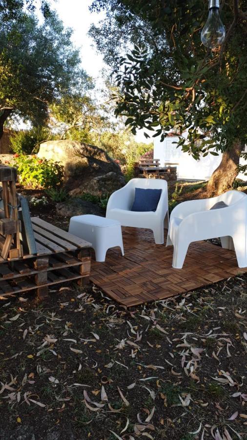 Casa Vacanze Olbia - Alebea - 外观 照片