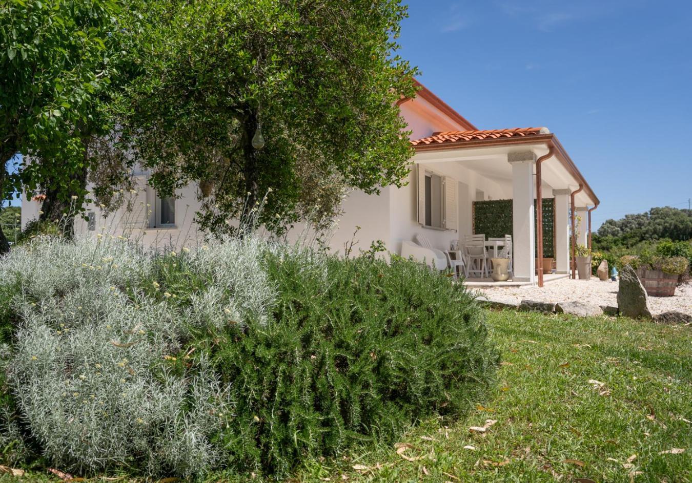 Casa Vacanze Olbia - Alebea - 外观 照片