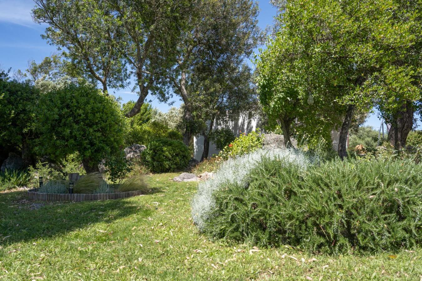 Casa Vacanze Olbia - Alebea - 外观 照片